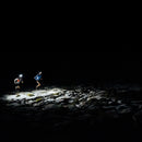 Silva Trail Runner Free 2 Hybrid