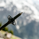 Silva Running poles carbon adjustable