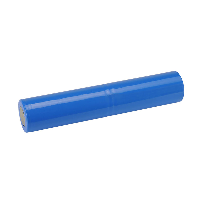 Maglite ML150LR-A2155 Battery Stick