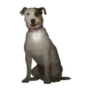 Nite Ize PetLit LED Collar Light White LED