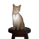 Nite Ize PetLit LED Collar Light White LED